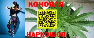 шишки Заводоуковск