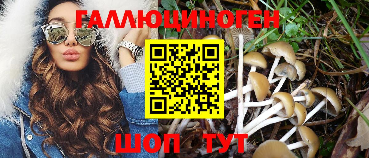 Лыткарино  Псилоцибиновые грибы MAGIC MUSHROOMS  Псилоцибиновые грибы мицелий  Вход с VPN 